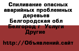 Спиливание опасных аварийных проблемных деревьев - Белгородская обл., Белгород г. Услуги » Другие   